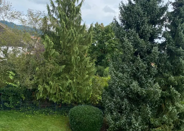 Ambiente 3 2 Baeder 93m2 Appartement